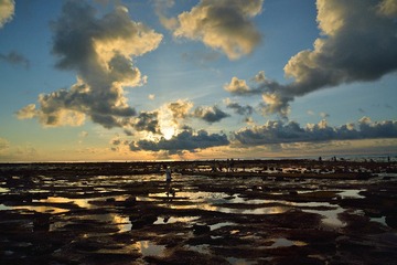 DSC_2445.jpg
