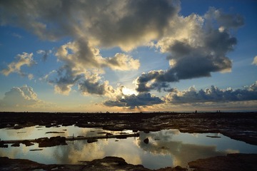 DSC_2451.jpg