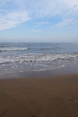 768FBB4C-7AAC-4C5A-B83D-F278B6EB4BF1/L0/001