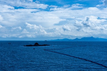 25212D29-B74D-422E-B3BF-BEBF85D444A3/L0/001