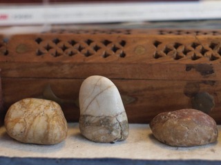 _Z048501.JPG