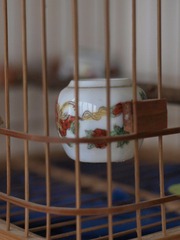 _Z048521.JPG