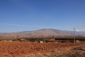 IMG_7110.jpg