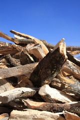 IMG_7114.jpg