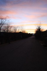 IMG_7190.jpg