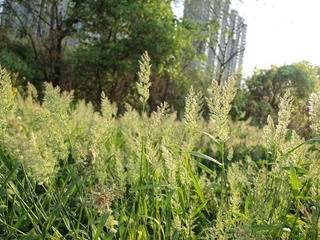 P4240647.JPG