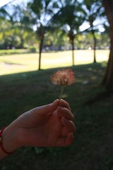 IMG_0124.JPG