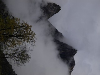 _Z046539