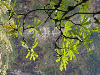 _Z046547