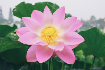 0E851AF4-DF05-433F-B5D6-3E058E04DABD/L0/001
