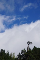 1000066534