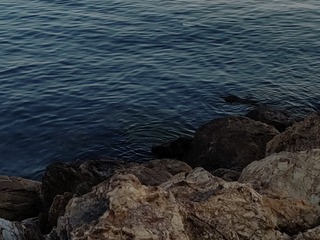 1000053729