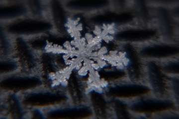 306374