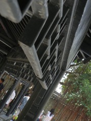 DSCN1007.JPG