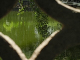 DSCN1020.JPG