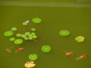 DSCN1035.JPG