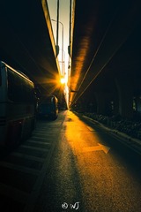 1000041245
