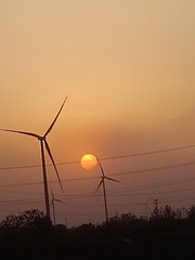 1000038228