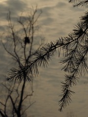 3F98520C-A9E2-4881-8F58-F0F3B2416768/L0/001