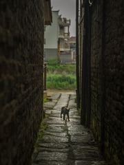 95883