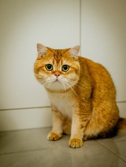 95768