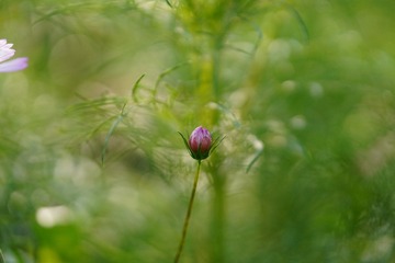 950557D2-F826-4DA8-B851-8B05F4303BF2/L0/001
