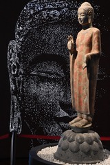 C0DD7402-72E7-47B5-B0F6-D1E24FB1CEC2/L0/001