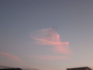 7EFA587A-768B-4C20-AE71-A04D6A30E0D7/L0/001