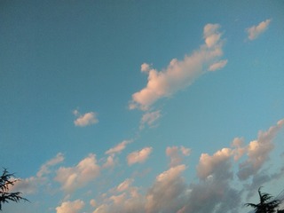 12070
