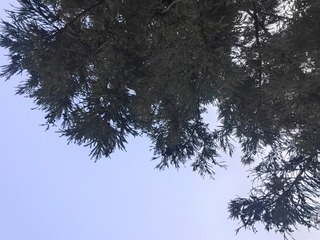 1000025970