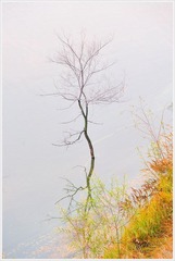201109坝上PIN_6745.jpg