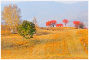 201109坝上PIN_6774.jpg