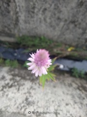 13A547EC-F0DB-402D-A24C-D3162448F060/L0/001