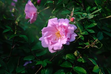 B010AB1F-0C58-4360-A147-EA2776F63A07/L0/001