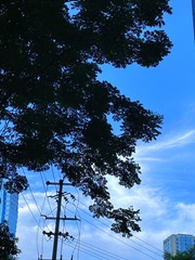 D1723F47-D176-4F65-A7C8-25CA1BD13EB0/L0/001
