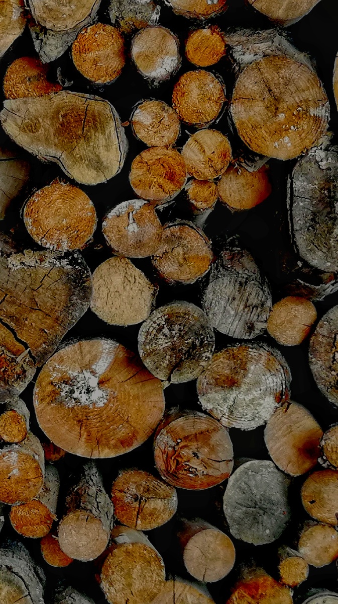 年轮2020华为三明