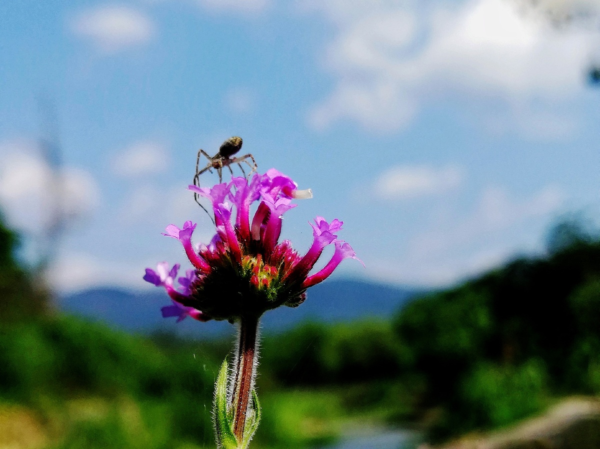 俯视202105华为三明