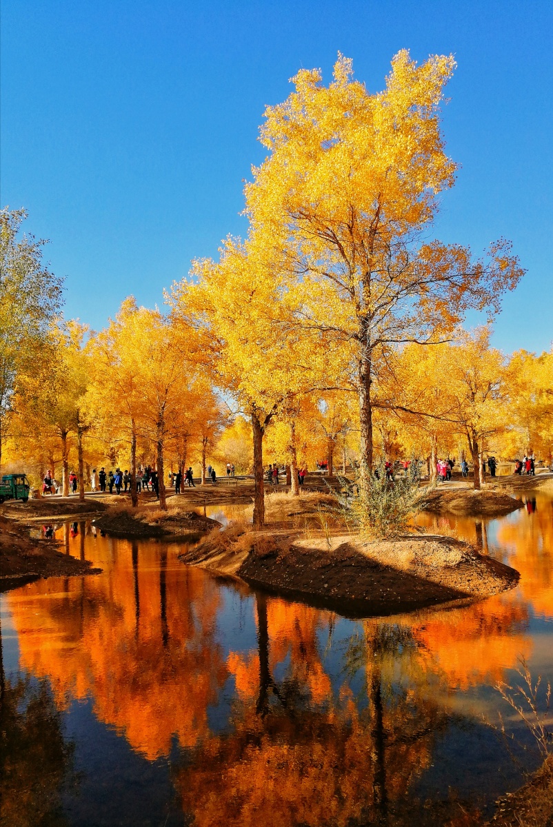 《胡杨韵律》2018华为p10甘肃旅拍