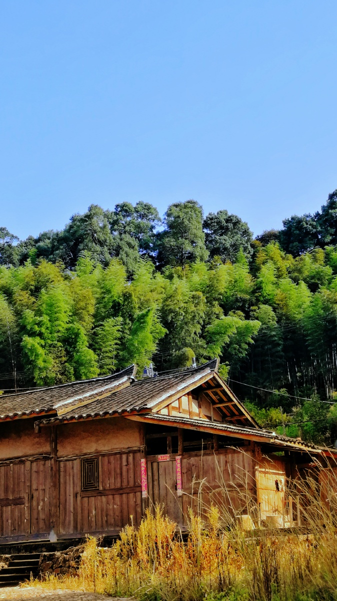 674_1200竖版 竖屏