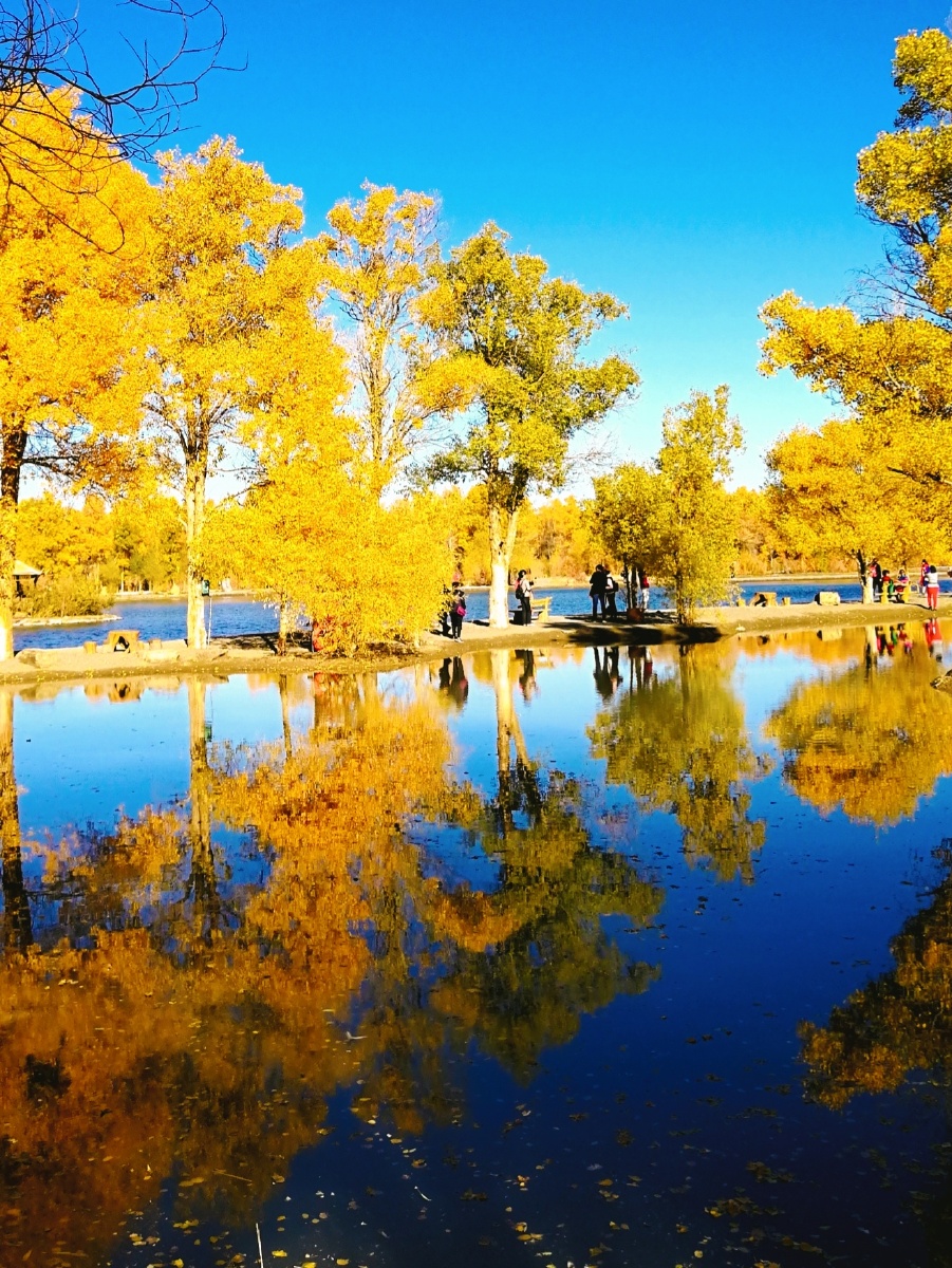 《胡杨色彩》20181011华为p10摄于内蒙古额济纳,微调.