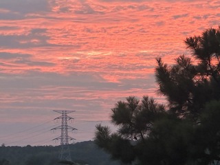 342F0019-84B0-421D-AFE2-3169AC08AB65/L0/001