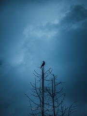 001