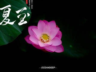 043C239A-1D25-48B6-BB57-32DD6915DB00/L0/001