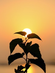 C0B4F3E9-09E4-4186-B1A2-D5AAEA067B44/L0/001