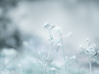 05380CC5-52ED-4E92-8C00-6EDEE5349088/L0/001