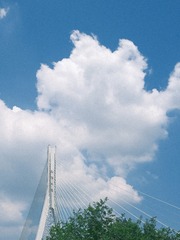 862026