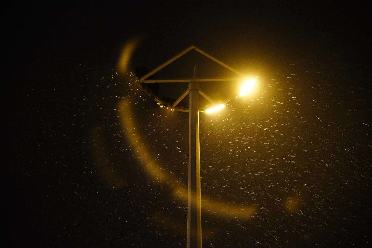 ps:镜头起霉,去霉后逆光有鬼影了,反倒成全了这张雪夜图