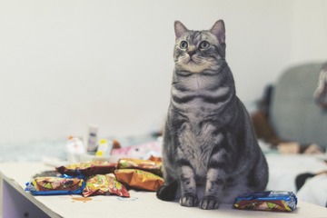 74880