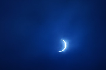 55484