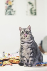 74882